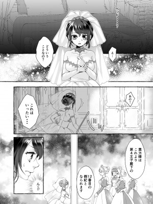 [揚げ浸し (巾着玉子)] 渡りの花嫁は呪いを受ける_08