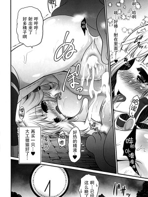[脸肿汉化组] (C93) [小さな鍵 (じゅんじぃ)] 色猫飛行島 ご奉仕アイリスさん。 (白猫プロジェクト)_15