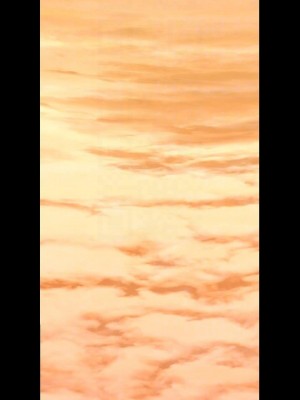 美麗新世界 135-136話_135_18