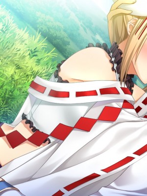 戦国†恋姫X 〜乙女絢爛☆戦国絵巻_e2Erika01a
