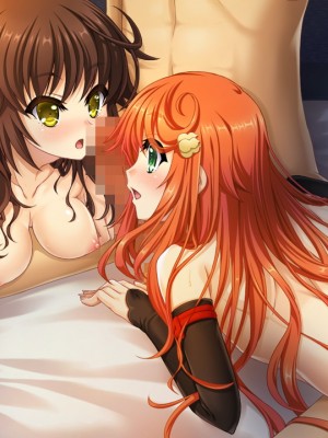 戦国†恋姫X 〜乙女絢爛☆戦国絵巻_e2Hiyoko03b