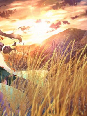 戦国†恋姫X 〜乙女絢爛☆戦国絵巻_e2Mikaduki01bl