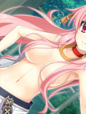 戦国†恋姫X 〜乙女絢爛☆戦国絵巻_e2Takeda06b