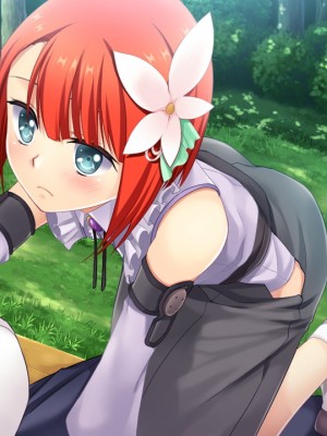戦国†恋姫X 〜乙女絢爛☆戦国絵巻_e2Takeda07d