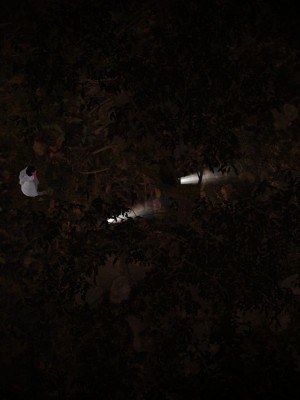 [smallflyingrat] 妖窟魔影 1-6_0353