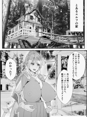 皮とエルフと山賊団～皮にされ出荷されるエルフの家族～_02