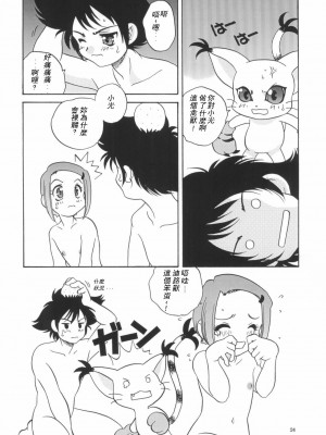 (C58) [ししゃもハウス (あらきあきら)] デジ本02 (デジモンアドベンチャー02) [中国翻訳]_24