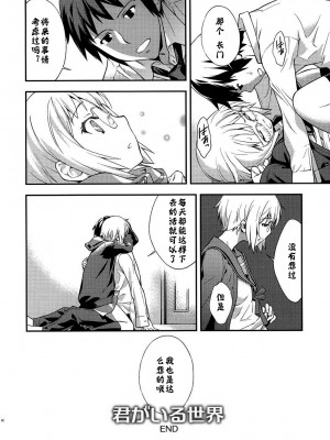 [神风汉化] (C79) [はぽい処 (岡崎武士)] アルタナSP -君がいる世界- (涼宮ハルヒの憂鬱)_14