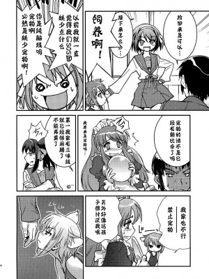 [神风汉化] (C79) [はぽい処 (岡崎武士)] アルタナSP -君がいる世界- (涼宮ハルヒの憂鬱)_18