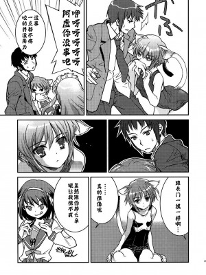 [神风汉化] (C79) [はぽい処 (岡崎武士)] アルタナSP -君がいる世界- (涼宮ハルヒの憂鬱)_19