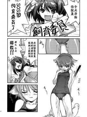 [神风汉化] (C79) [はぽい処 (岡崎武士)] アルタナSP -君がいる世界- (涼宮ハルヒの憂鬱)_20