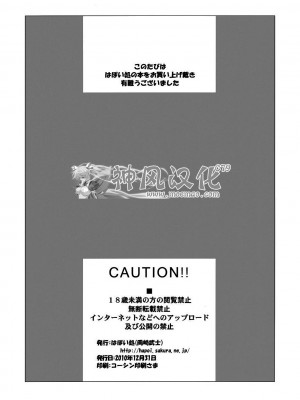 [神风汉化] (C79) [はぽい処 (岡崎武士)] アルタナSP -君がいる世界- (涼宮ハルヒの憂鬱)_59