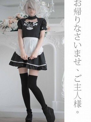 Cosplayer - Shirogane-sama (Updated 2022-04-18)_327_NieR_Automata_Nier_series_YoRHa_No2_Type_B_2b_3