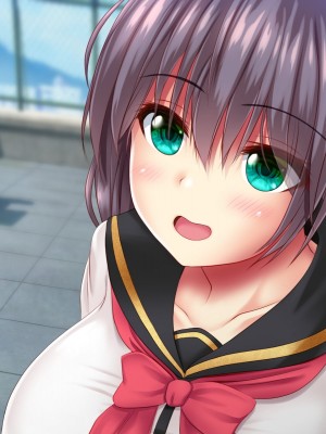 [シロクロドン] 政府特例種付け許可公認 種付けナンバーカード 巨乳すぎるお嬢様全員生ハメ孕ませ放題_240