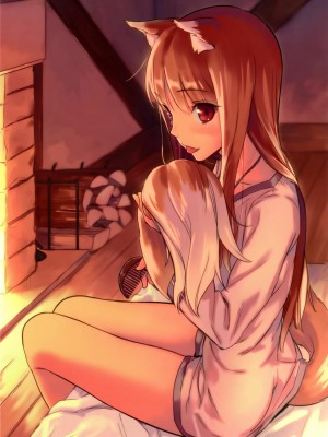 [final個人漢化] (C85) [アジサイデンデン (川上六角)] 湯けむりわっち折本 + イラスト (狼と香辛料)_14
