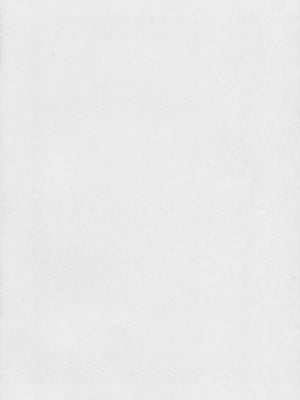 (C94) [サークル太平天国 (堀川悟郎)] 深窓の隷嬢 上巻 [食尸鬼个人汉化]_07