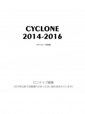 [サイクロン (和泉、冷泉)] サイクロンの総集編2014-2016 (魔法少女リリカルなのは) [DL版]_182