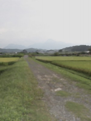 [搾精研究所] 搾精学級(8)～性格最悪の女子しかいない学校で性的イジメ生活～ [中国翻訳]_005