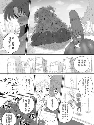 [サークルチェリー・ボーイ (えらい)] 魔法少女の子宮にある濃い魔法パワーを餌にして育つ触手の子 [中国翻訳]_21