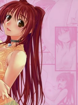 [漢化好沒] (C79) [やまぐちぷりんと (珠樹やよい)] CS RADICAL (トゥハート2)