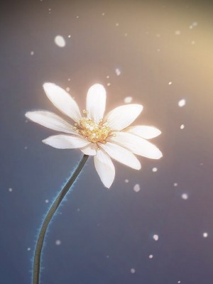 桃花 66-67話[完結]_66_281