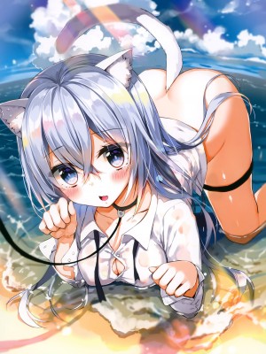 (C94) [やだぽっと (やだぽてと)] 海で猫を拾った。_03