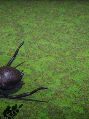 [3D]斗罗玉传17-18_0003