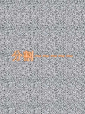 叶枫传2-学园霸王录_00301