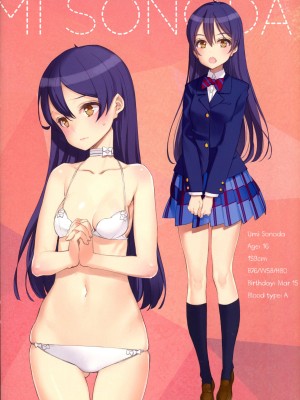 (C86) [少女騎士団 (大槍葦人)] What is this thing called love- 2 (ラブライブ!)_14