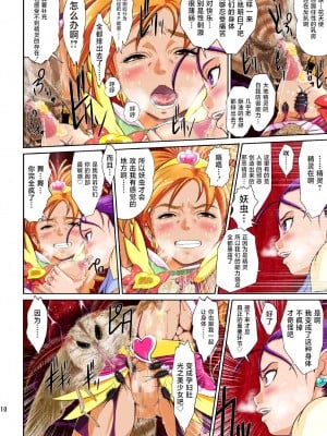 [不咕鸟汉化组] [重力式擁壁 (ダム)] Shock触ブリギュア (プリキュア) [DL版]_58