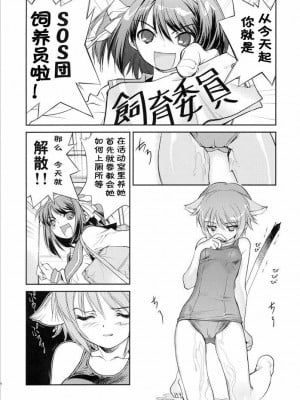 [アルルウの坐騎个人汉化] (C71) [はぽい処 (岡崎武士)] ARTERNA (涼宮ハルヒの憂鬱)_05