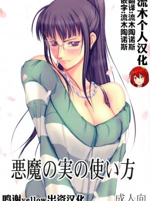 (C80) [三毛猫堂 (武天)] 悪魔の実の使い方 (ワンピース) [流木个人汉化]