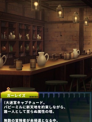 [当方丸宝堂] 【メスケモ異種姦特化CG集】パピーミルの冒険者たち【妊娠・出産アリ】_001_@OP@_B_0028