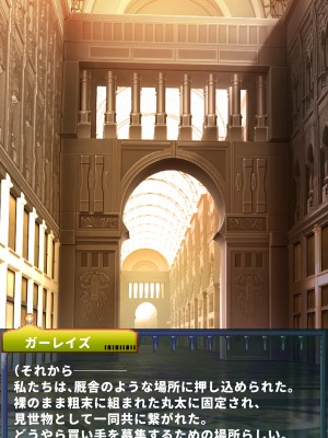 [当方丸宝堂] 【メスケモ異種姦特化CG集】パピーミルの冒険者たち【妊娠・出産アリ】_003_B001_002