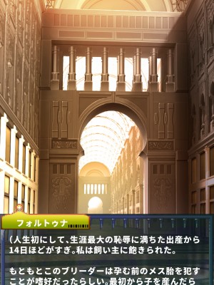 [当方丸宝堂] 【メスケモ異種姦特化CG集】パピーミルの冒険者たち【妊娠・出産アリ】_004_C003_002