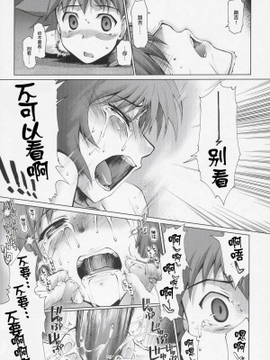 (C69) [沙悟荘 (瀬浦沙悟)] コト輪～完全版～ (ゾイド ジェネシス) [转尾巴猫汉化]_20