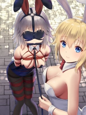(C96) [藍の砂時計 (HaneRu)] モノクローム心象 (Fate╱Grand Order) [DL版]_05