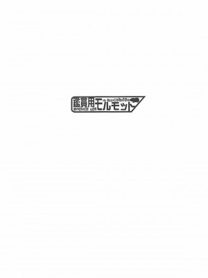 (C94) [鑑賞用モルモット (Mr.Lostman)] エレちゃんと! (Fate╱Grand Order) [中国翻訳]_02