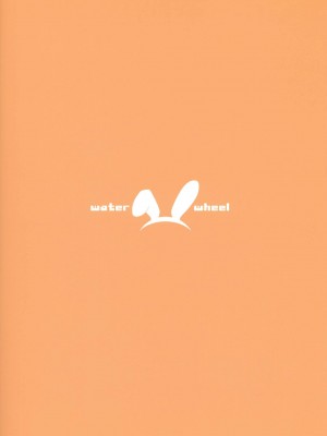[空気系★汉化] (サンクリ53) [waterwheel (白田太)] RAMBLING★BUNNY (インフィニット・ストラトス)_18