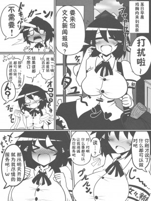 (C86) [あと7分 (Roki, りんどう)] あやかん! (東方Project) [心海汉化组]_16