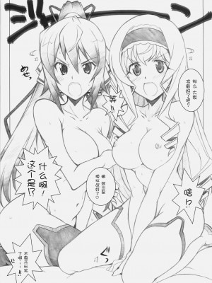 [空気系★汉化] [まるあらい (新井和崎)] SEA IS (IS＜インフィニット・ストラトス＞)_08