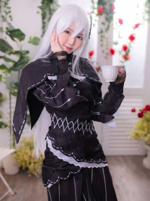 Sally Dorasnow - Echidna_Sally_Dorasnow_Echidna_8