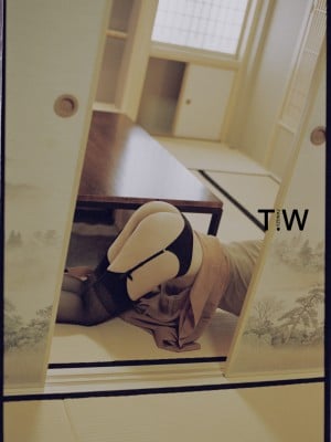 独立摄影师TIANWEN（鳼岛) 作品-其他_fangzuo004 微信图片_20170416031906