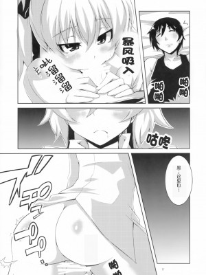 (C78) [銀のキャッチャーミット (かなめ薙)] HADA YIN (DARKER THAN BLACK) [忆之风汉化组]_12