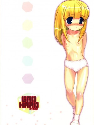 [阿醇個人漢化] (サンクリ35) [アーカイブ (へち)] ガドハード (GAD GUARD)_30