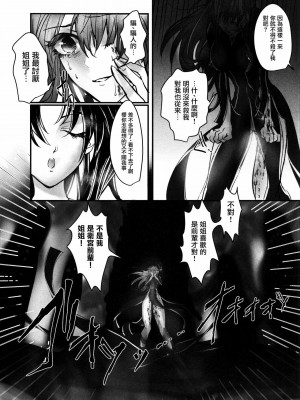 [洛鳶漢化組] (C88) [突貫魔がさし娘 (旭)] 姉さん、私ずっと貴女の事大嫌いでした (Fate╱stay night)_16