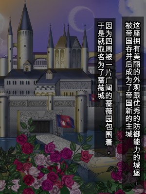 [我不看本子个人汉化][pinkjoe] 報酬の姫君 princess super slut 1~3+『補／after story』_254