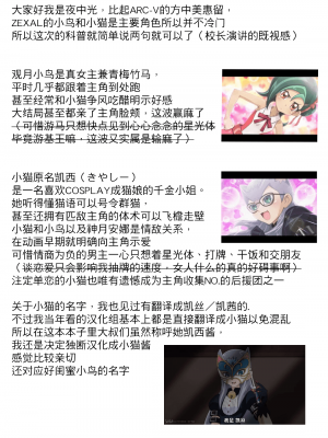 [HellDevice (nalvas)] 小鳥と子猫 (遊☆戯☆王ZEXAL) [夜中光个人漢化] [DL版]_13
