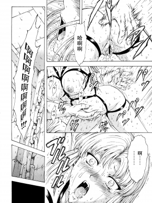 [向正義] 銀竜の黎明 Vol.2 [胸垫汉化组]_138