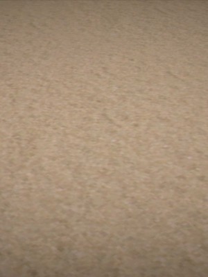 [3D][小星星] 人妻淫记 1-75+人物介绍（完结）_8554